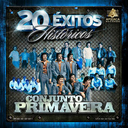 Album cover of 20 Exitos Historicos
