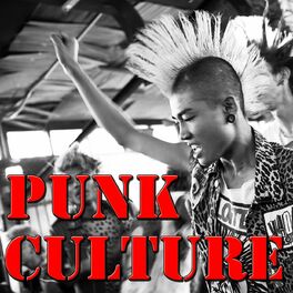 Album cover of Punk Culture, Vol.2 (Live)