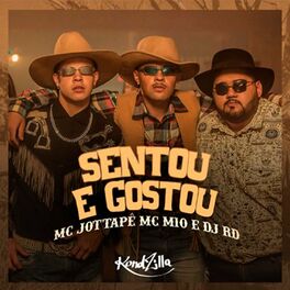 Album cover of Sentou e Gostou