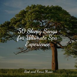 Album cover of 50 Sleepy Songs for Ultimate Spa Experience