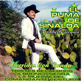 El Puma De Sinaloa: letras, discos | Escuchar en Deezer