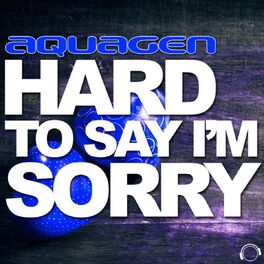 Album cover of Hard to Say I'm Sorry (The House & Electro Remixes)