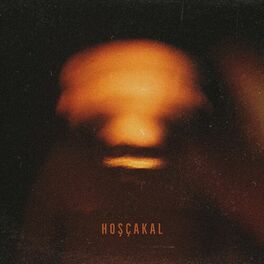 Album cover of Hoşçakal