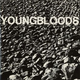 Album cover of Rock Festival [Live]