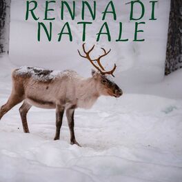 Album cover of Renna Di Natale