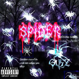 Album cover of Spider