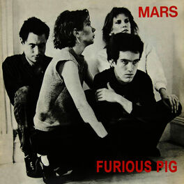 Album cover of Furious Pig