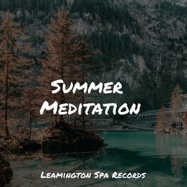 Album cover of Summer Meditation