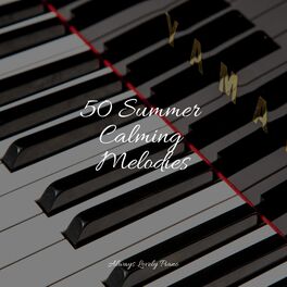 Album cover of 50 Summer Calming Melodies