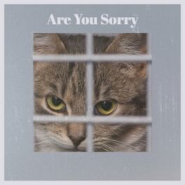 Album cover of Are You Sorry