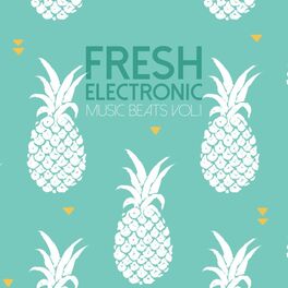 Album cover of Fresh Electronic Music Beats, Vol. 2