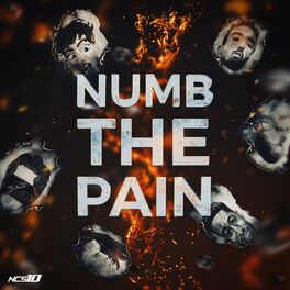 Album cover of Numb The Pain