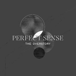 Album cover of Perfect Sense (Moda Spira Remix)