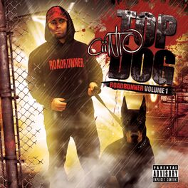 Album cover of Top Dog