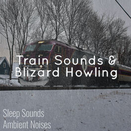 Album cover of Train Sounds and Blizzard Howling