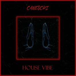 Album cover of House Vibe