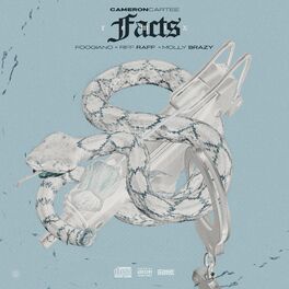 Album cover of Facts (Remix)