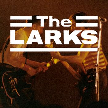 The Larks U.K. - Maggie Maggie Maggie Out Out Out (Live): Canción
