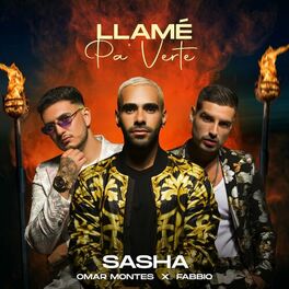 Album cover of Llamé pa' verte