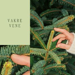 Album cover of Vakre vene