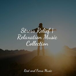 Album cover of Stress Relief | Relaxation Music Collection
