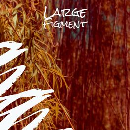 Album cover of Large Figment