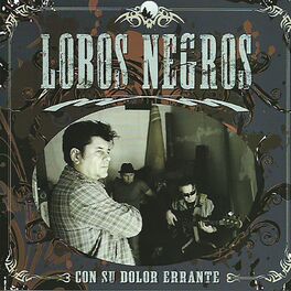 Album cover of Con Su Dolor Errante