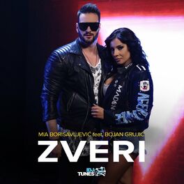 Album cover of Zveri
