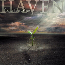 Album cover of From the Ashes