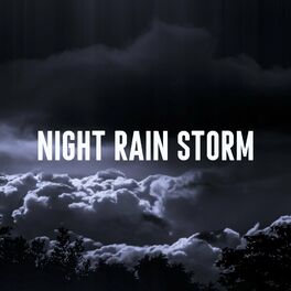 Album cover of Night Rain Storm