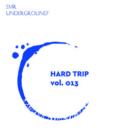 Album cover of Hard Techno Trip Vol.XIII
