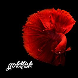 Album cover of Goldfish (feat. Peter Green)