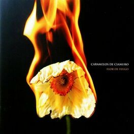Album cover of Flor De Fuego