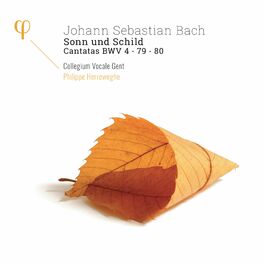 Album cover of Bach: Sonn und Schild, Cantatas BWV 4, 79 & 80