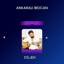 Album cover of Dilek