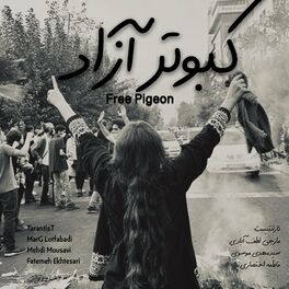 Album cover of Kabootar e Azad (Free Pigeon) (feat. MarG Lotfabadi, Mehdi Mousavi & Fatemeh Ekhtesari)