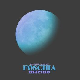 Album cover of FOSCHIA (feat. ESTER)