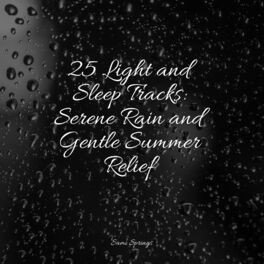 Album cover of 25 Light and Sleep Tracks: Serene Rain and Gentle Summer Relief