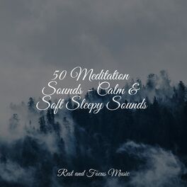 Album cover of 50 Meditation Sounds - Calm & Soft Sleepy Sounds