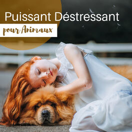 Album cover of Puissant Déstressant pour Animaux - Thérapie par les bruits de la nature pour nos animaux de compagnie