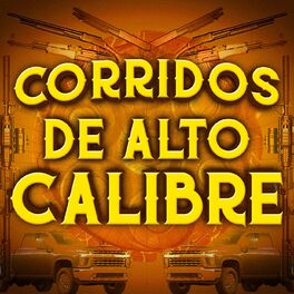 Album cover of Corridos De Alto Calibre