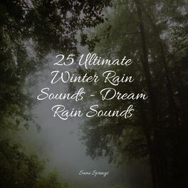 Album cover of 25 Ultimate Winter Rain Sounds - Dream Rain Sounds