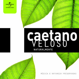Album cover of Caetano Veloso Naturalmente