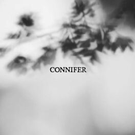 Album cover of Connifer