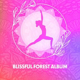 Album cover of Blissful Forest Album