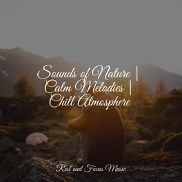 Album cover of Sounds of Nature | Calm Melodies | Chill Atmosphere