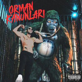 Album cover of ORMAN KANUNLARI