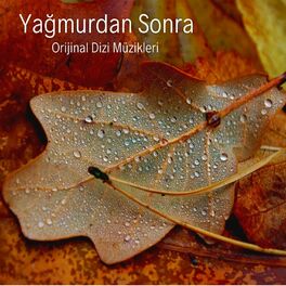 Album cover of Yağmurdan Sonra (Orijinal Dizi Müzikleri)