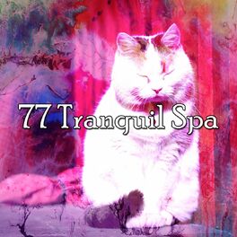 Album cover of 77 Tranquil Spa