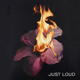 Album cover of Just Loud